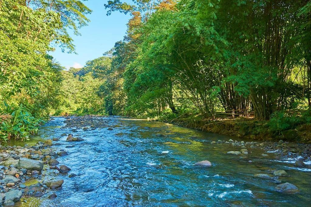 Manoas Panzió Uvita Kültér fotó